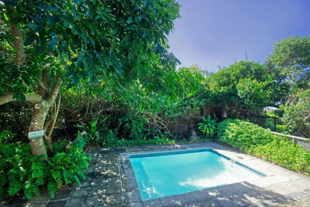 Baleia Azul 26 Vila Ponta Mamoli Exterior foto